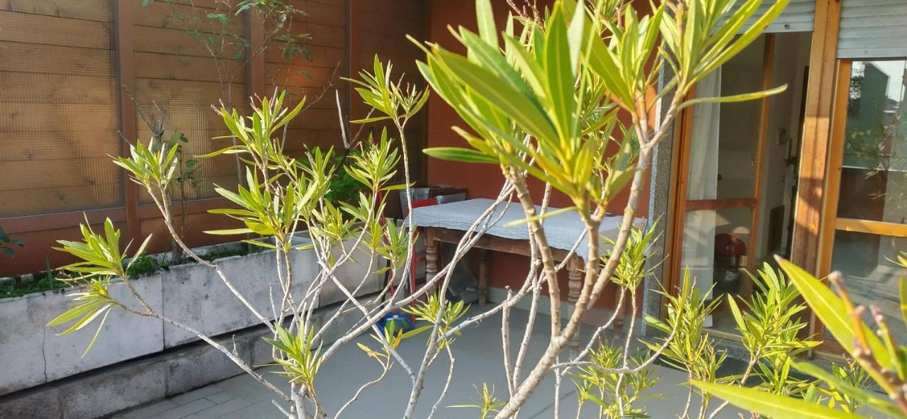 Meraviglioso Super Attico Con Terrazza Milan Extérieur photo