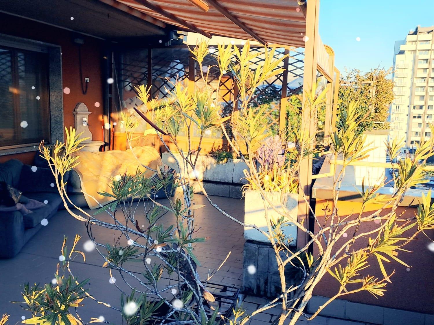 Meraviglioso Super Attico Con Terrazza Milan Extérieur photo